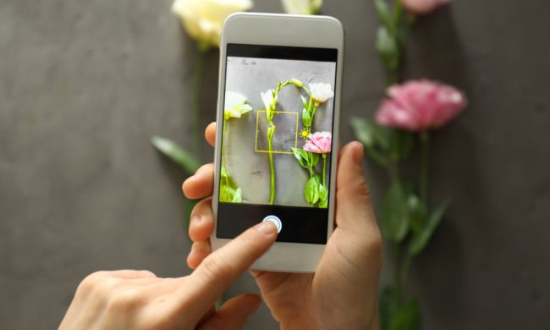 Una mujer identificando una flor a través de una aplicación digital